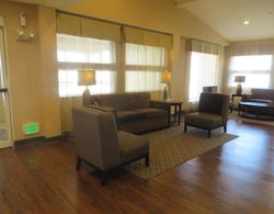 Comfort Suites DFW Airport Genel