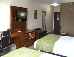 Comfort Suites (Dover) Genel