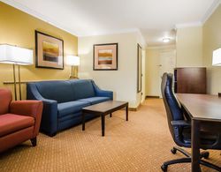 Comfort Suites Elizabethtown Area Genel