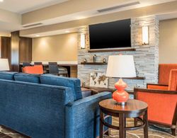 Comfort Suites Florence - Cincinnati South Lobi