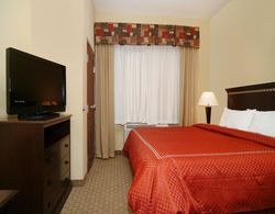 Comfort Suites Fort Stockton Area Genel