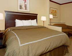 Comfort Suites Galveston Genel