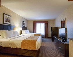 Comfort Suites Grand Rapids North Genel