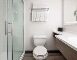 Comfort Suites Kingston Central Banyo Tipleri
