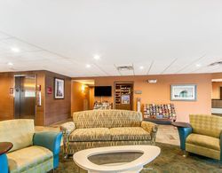 Comfort Suites Knoxville West - Farragut Genel