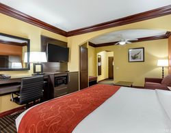Comfort Suites Lake Jackson Genel