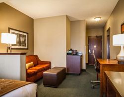 Comfort Suites Madison Genel