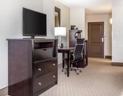 Comfort Suites Morrow- Atlanta South Genel