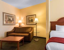 Comfort Suites Mount Vernon Genel