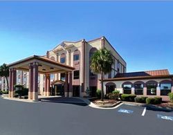 Comfort Suites near Robins Air Force Base Genel