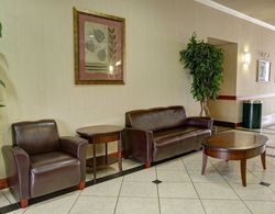 Comfort Suites Near Texas State University Genel