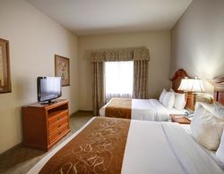 Comfort Suites Near Texas State University Genel