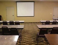 Comfort Suites New Braunfels Genel