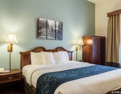 Comfort Suites New Orleans Genel