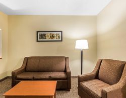 Comfort Suites North Dallas Genel