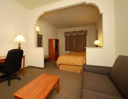Comfort Suites Odessa Area Genel