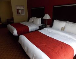 Comfort Suites Old Town Spring Genel