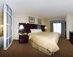 Comfort Suites Olive Branch West Genel