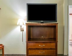 Comfort Suites Owensboro Area Genel