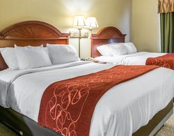 Comfort Suites Owensboro Area Genel