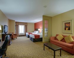 Comfort Suites Pearland - South Houston Genel
