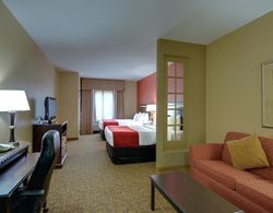 Comfort Suites Pearland - South Houston Genel