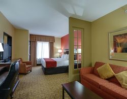 Comfort Suites Pearland - South Houston Genel