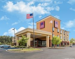 Comfort Suites Pell City I-20 exit 158 Genel