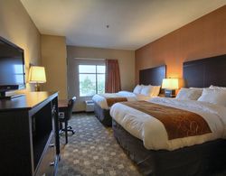 Comfort Suites Perrysburg - Toledo South Genel