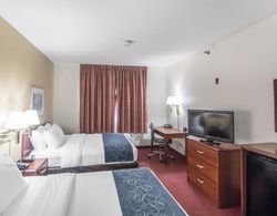 Comfort Suites Rochester Genel