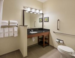 Comfort Suites Saginaw Genel