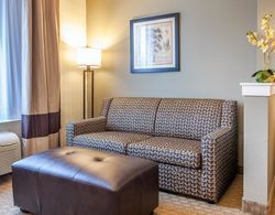 Comfort Suites Seattle-Tacoma Airport Genel