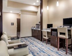 Comfort Suites - South Austin Genel