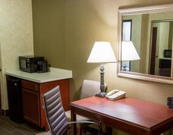 Comfort Suites Southfield Area Genel