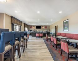 Comfort Suites St Charles-St Louis Genel