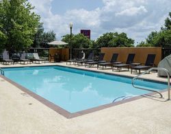 Comfort Suites Starkville Havuz