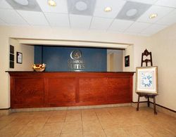 Comfort Suites Summerville - Charleston Genel