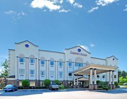 Comfort Suites Summerville - Charleston Genel