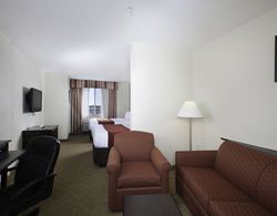 Comfort Suites Tampa Airport North Genel