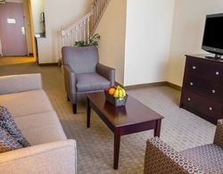 Comfort Suites University Area Genel