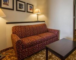 Comfort Suites West Dallas - Cockrell Hill Genel