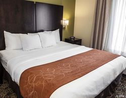Comfort Suites West Indianapolis - Brownsburg Genel