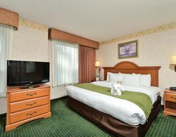 Comfort Suites Wilmington near Downtown Genel