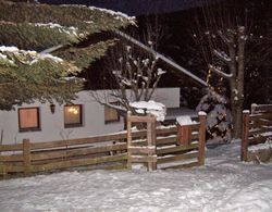 Comfortable Holiday Home Near Ski Area in Arriach Dış Mekan