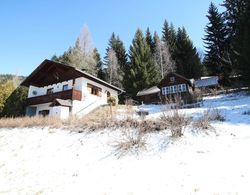 Comfortable Holiday Home Near Ski Area in Arriach Dış Mekan