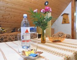 Comfortable Apartment in Frauenwald Thuringia Near Forest İç Mekan