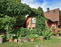 Comfortable Apartment in Freiburg With Garden Dış Mekan