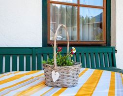 Comfortable Apartment in Mayrhofen With Garden İç Mekan