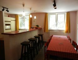 Comfortable Villa in Nedvedice With Private Garden Mutfak