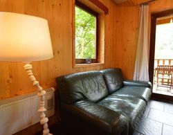 Comfortable Modern Chalet With Wood Finish Oda Düzeni